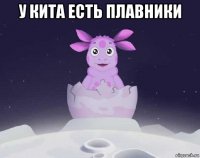 у кита есть плавники 