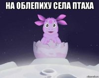 на облепиху села птаха 