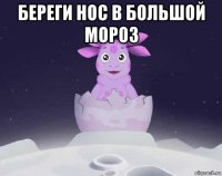 береги нос в большой мороз 