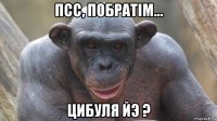 псс, побратiм... цибуля йэ ?