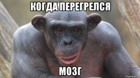 когда перегрелся мозг