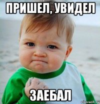 пришел, увидел заебал