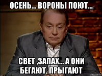 осень... вороны поют... свет ,запах... а они бегают, прыгают