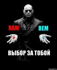 RAM REM Выбор за тобой