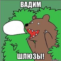 вадим шлюзы!