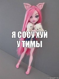 Я сосу хуй у тимы