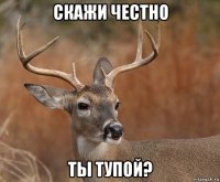 скажи честно ты тупой?