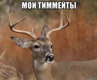 мои тиммейты 