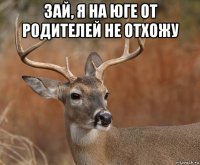 зай, я на юге от родителей не отхожу 