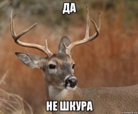 да не шкура