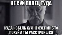 не суй палец туда куда кобель хуй не суёт мне-то похуй а ты расстроишся