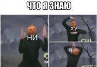 что я знаю 