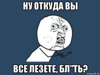 ну откуда вы все лезете, бл"ть?