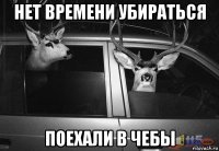 нет времени убираться поехали в чебы