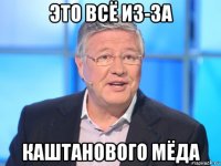 это всё из-за каштанового мёда