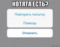 котята есть? 