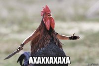  ахаххахаха