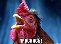  проснись!