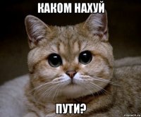 каком нахуй пути?