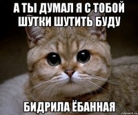 а ты думал я с тобой шутки шутить буду бидрила ёбанная