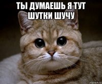 ты думаешь я тут шутки шучу 