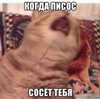 когда писос сосёт тебя