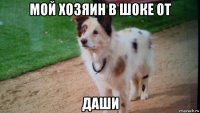 мой хозяин в шоке от даши