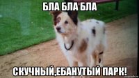 бла бла бла скучный,ебанутый парк!