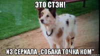 это стэн! из сериала ,,собака точка ком"