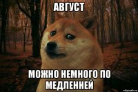 август можно немного по медленней