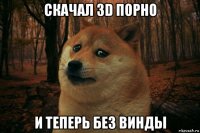 скачал 3d порно и теперь без винды