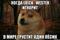 когда erick_wester игнорит в мире грустит один пёсик