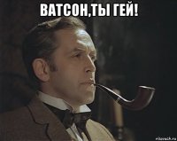 ватсон,ты гей! 