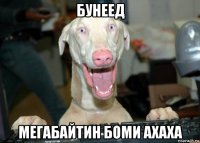 бунеед мегабайтин боми ахаха