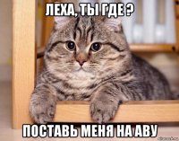 леха, ты где ? поставь меня на аву