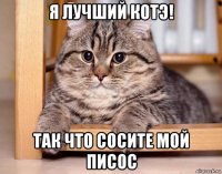 я лучший котэ! так что сосите мой писос