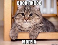 соси писос молча