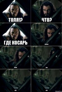 Толя!? Что? Где косарь .... ... .. .. ..