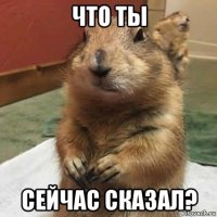 что ты сейчас сказал?