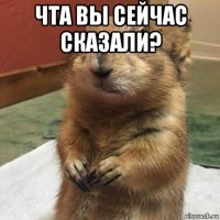 чта вы сейчас сказали? 