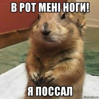 в рот мені ноги! я поссал