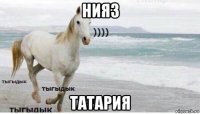 нияз татария