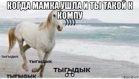 когда мамка ушла и ты такой к компу .-.