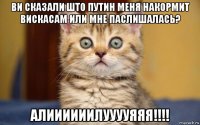 ви сказали што путин меня накормит вискасам или мне паслишалась? алиииииилууууяяя!!!!