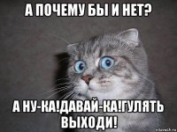 а почему бы и нет? а ну-ка!давай-ка!гулять выходи!