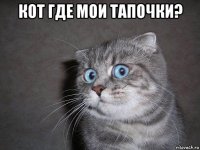 кот где мои тапочки? 