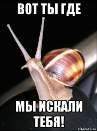 вот ты где мы искали тебя!