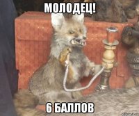 молодец! 6 баллов