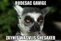 rodesac gavige zaynis wasvlis shesaxeb