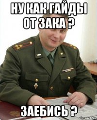 ну как гайды от зака ? заебись ?